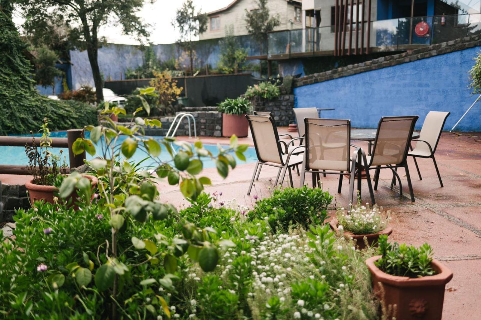 تيموكو Hotel Tierra Del Sur المظهر الخارجي الصورة